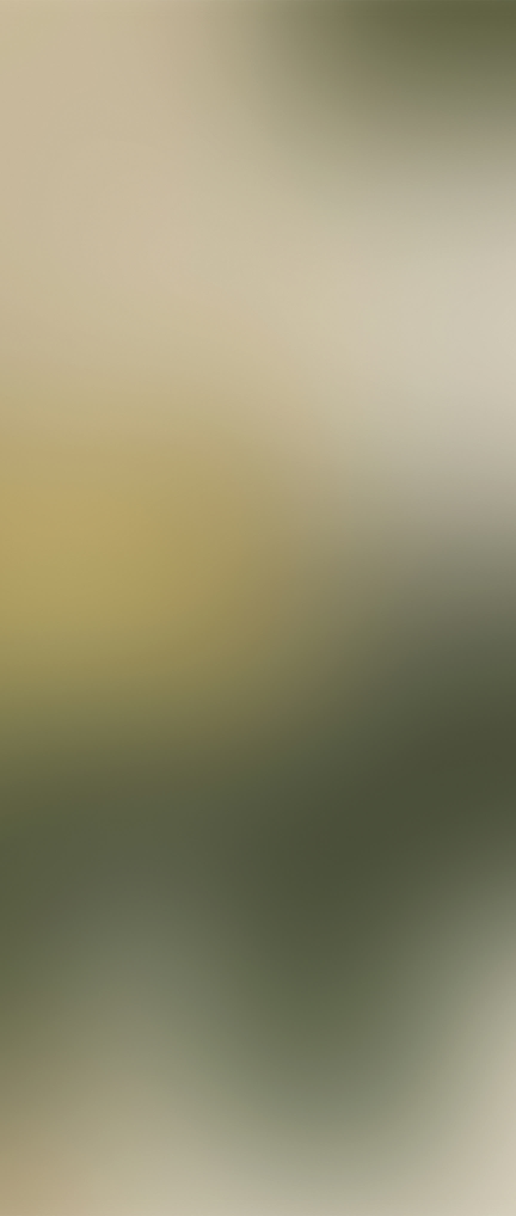 Background do empreendimento